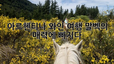 아르헨티나 와인 여행: 말벡의 매력에 빠지다