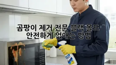 곰팡이 제거 전문: 블랙 몰드, 안전하게 없애는 방법